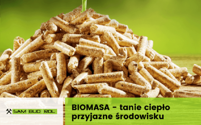 Czym jest biomasa?