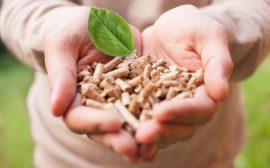 Biomasa – ogrzewanie z przyszłością
