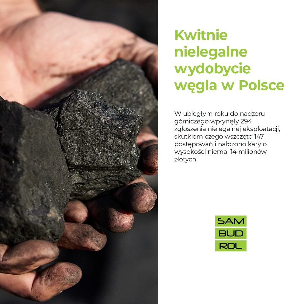 Kwitnie nielegalne wydobycie węgla w Polsce